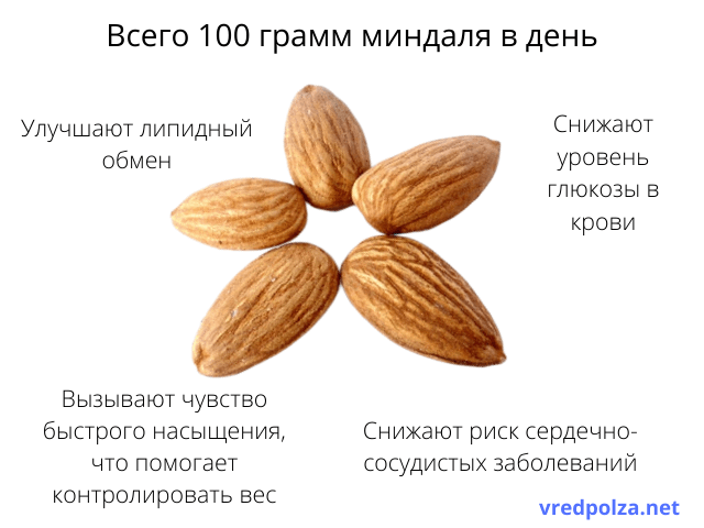 Миндальный орех польза и вред | травник