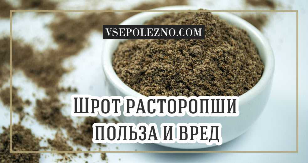 Расторопша: лечебные свойства и противопоказания, инструкция по применению масло, капсулы, таблетки, шрот | азбука здоровья