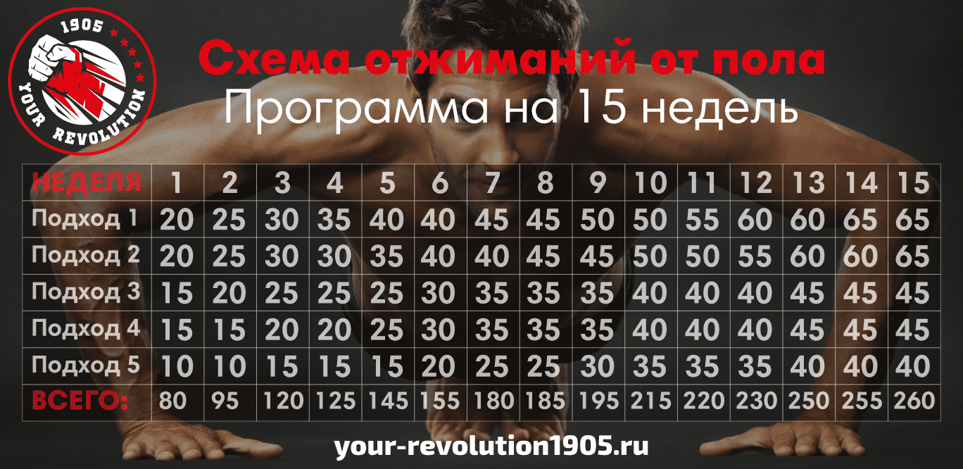 Как правильно отжиматься от пола девушкам: программа тренировок
как правильно отжиматься от пола девушкам: программа тренировок