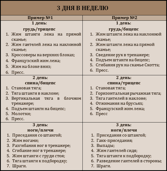 Программа тренировок для девушек в тренажерном зале
