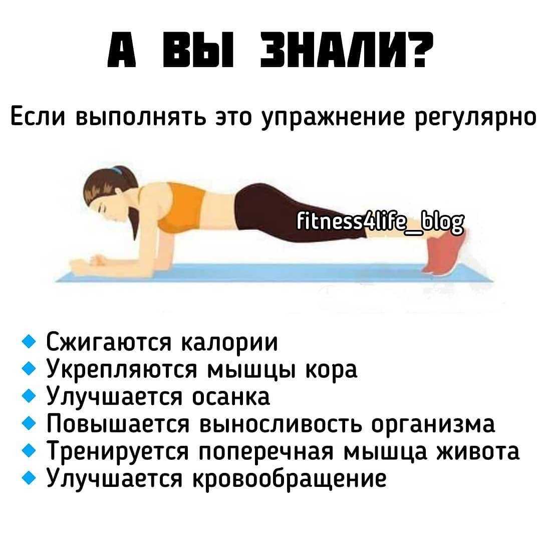 Упражнение планка - как правильно делать, вариации и несложные комплексы