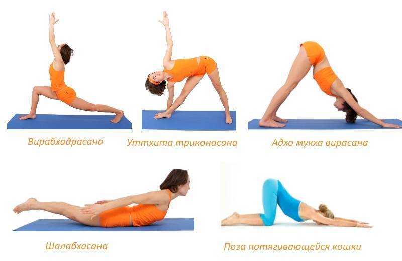 Йога для осанки — простые упражнения для выпрямления спины
