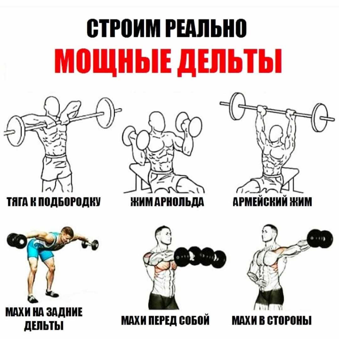 Как добиться отличного рельефа и правильного развития мышц плечевого пояса Представляем вам программу упражнений на плечи которую возможно выполнять дома Лучшие и эффективные базовые упражнения на плечи