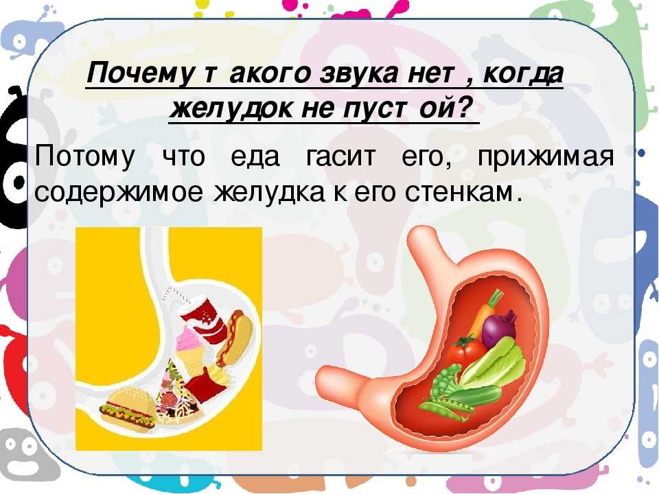 12 способов, как избавиться от урчания в животе | кто?что?где?