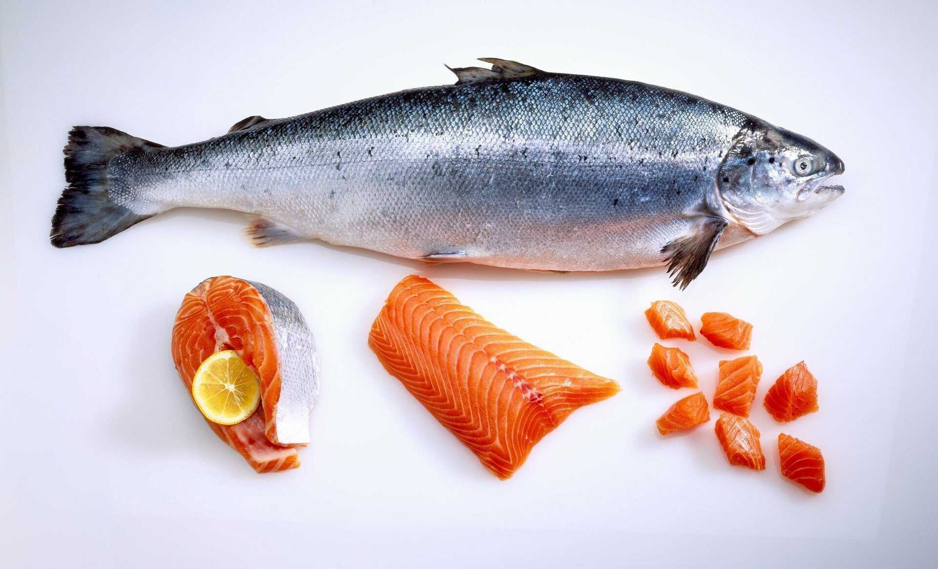 Сёмга польза и вред🐟, 11 полезных свойств икры для организма