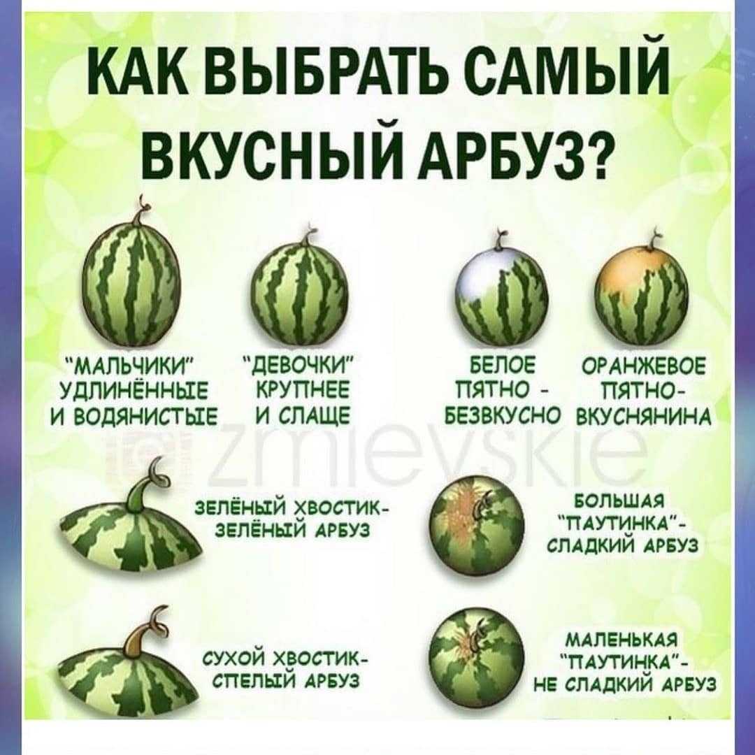 На дворе август, а значит, снова идут ожесточенные споры: что вкуснее — арбуз или дыня? помня, что на вкус и цвет — все фломастеры разные, мы не будем ввязываться в бессмысленную и беспощадную битву, а постараемся дать двум соперникам объективную оценку и