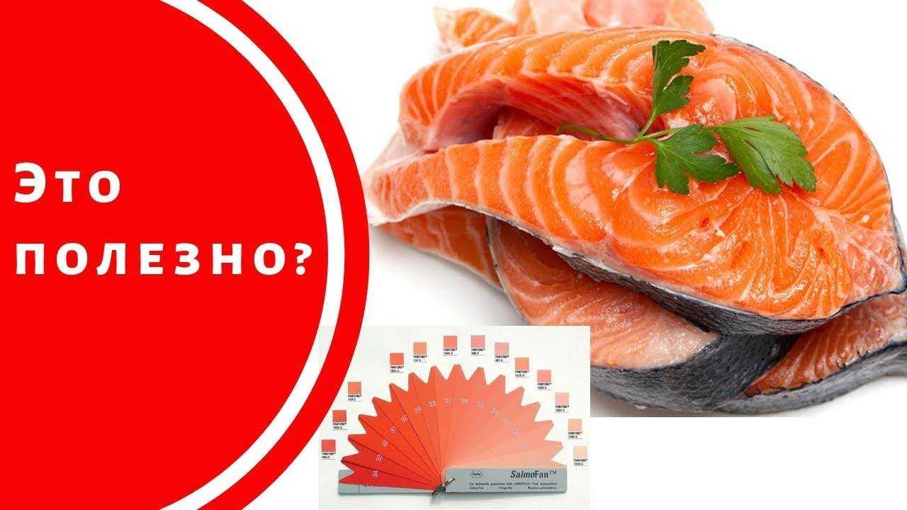 Форель — польза и вред для организма