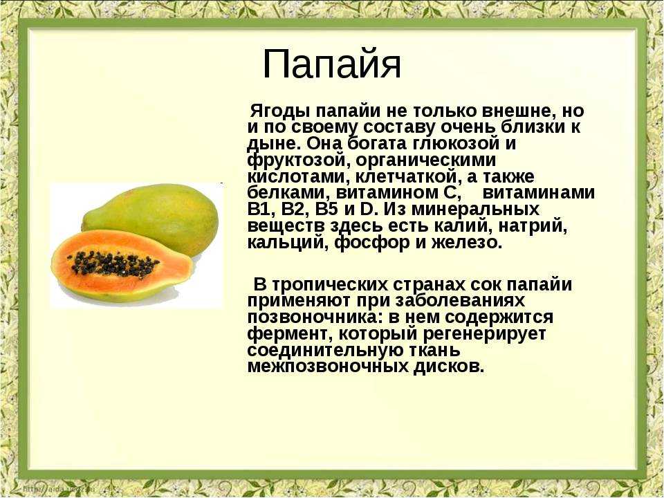 Фрукт папайя: фото, полезные свойства, вред, как его едят
