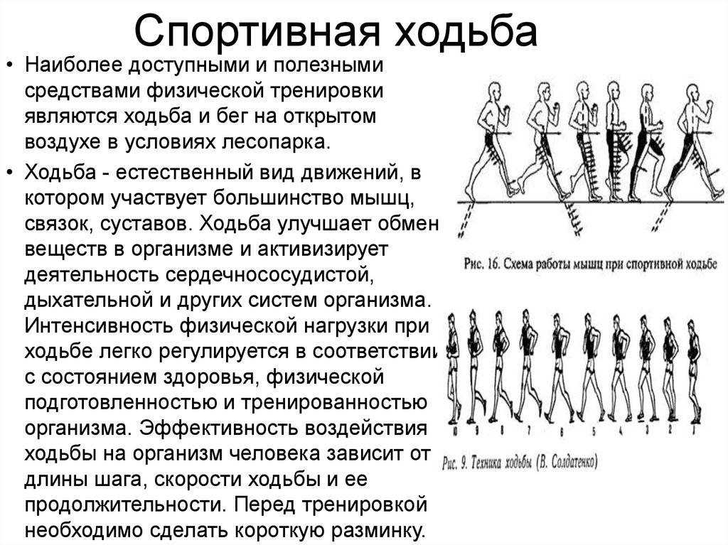 Ходьба с лесли сансон