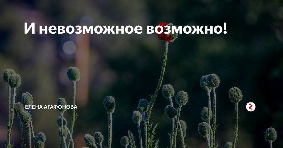 Программа тренировок на массу