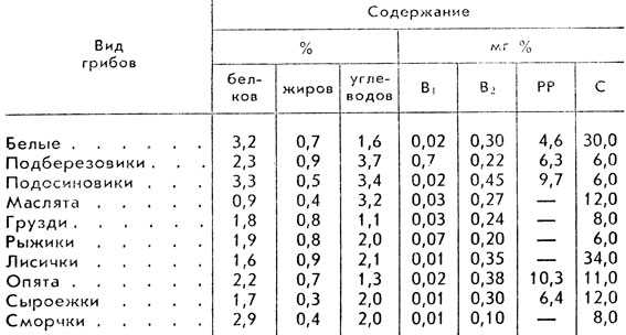 Топ - 10 съедобных грибов: десятка самых вкусных и полезных грибов » дом, сад и огород - актуальные и полезные советы дачникам и огородникам: посадка, уход, цветы, овощи и фрукты, грибы и ягоды