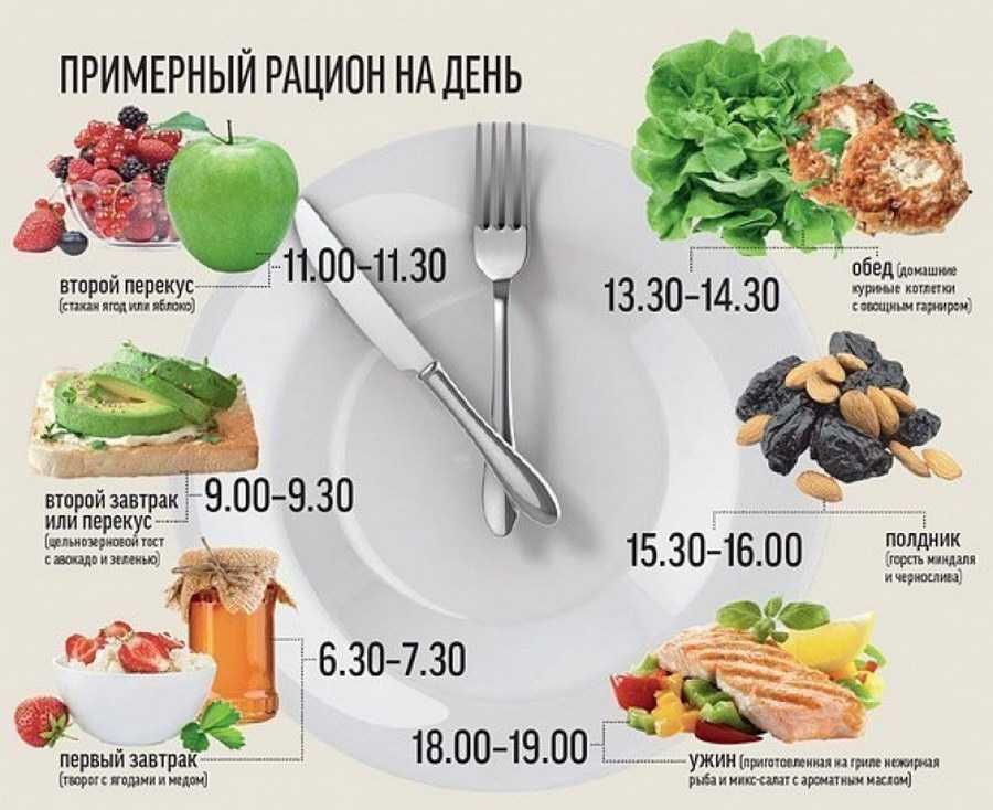 Как похудеть мужчине - программа и режим питания, эффективные диеты на каждый день