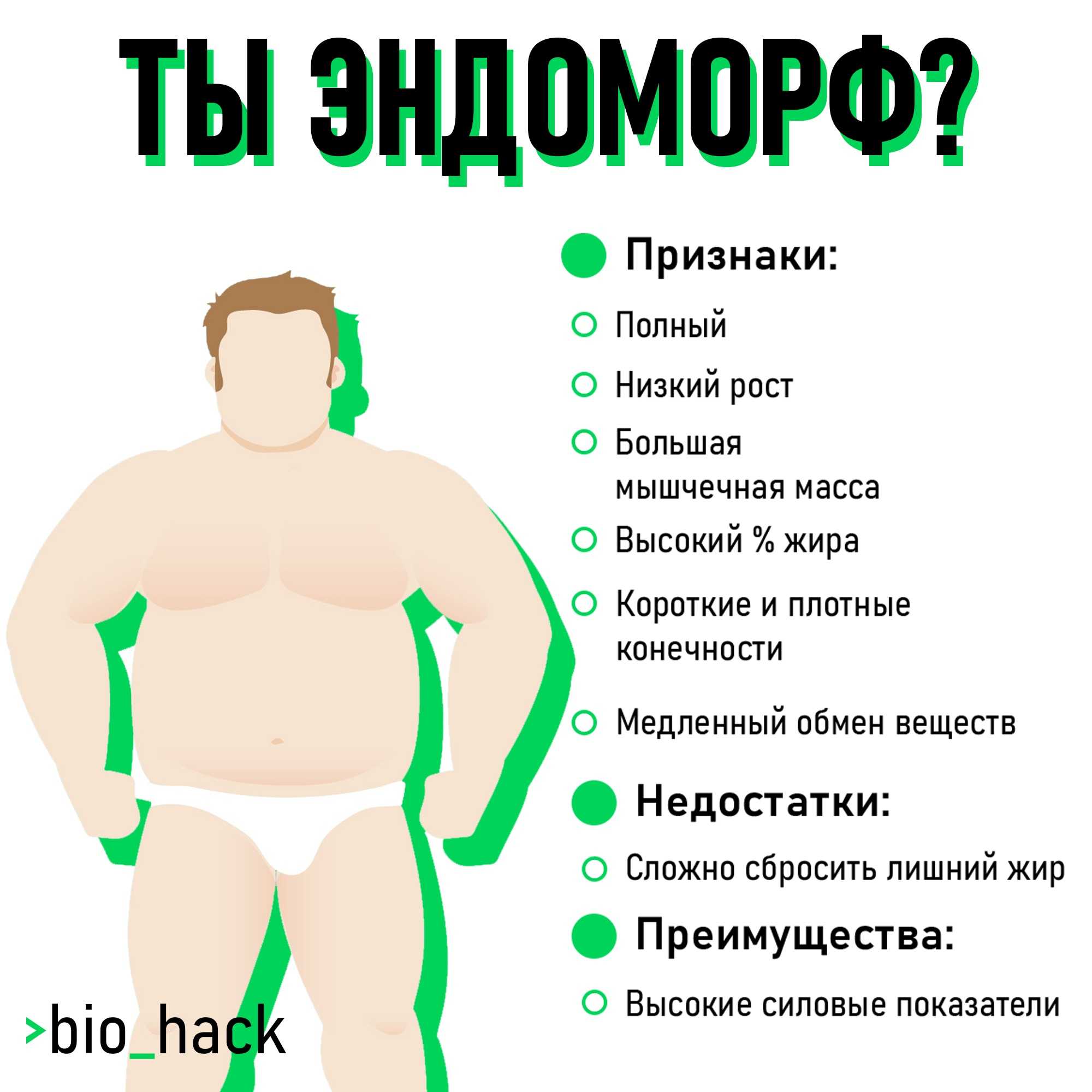 Мезоморф — питание и тренировки. как определить — характеристики