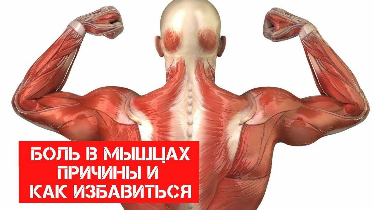 Восстановление после плавания: 15 советов, как избежать перетренированности - "марафонец"