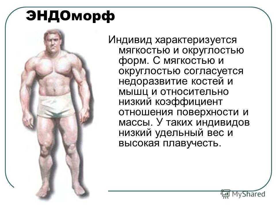 Программы тренировок для эндоморфа на похудение, рельеф и массу | rulebody.ru — правила тела