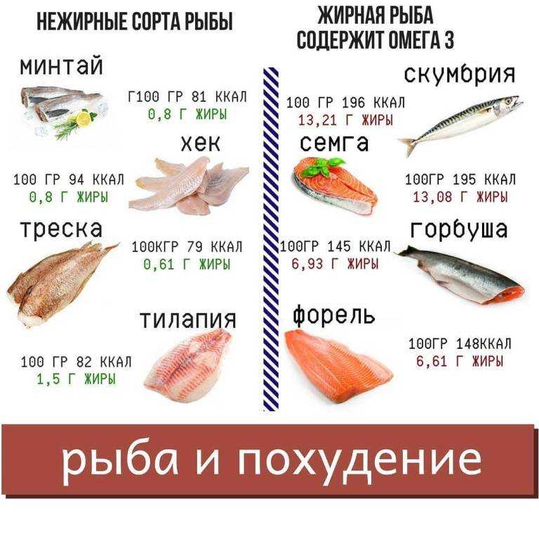 Продукты богатые белком: источники
