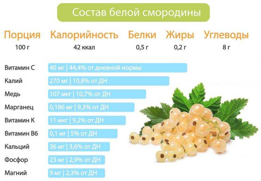 Белая смородина: рецепты, польза и вред, как едят