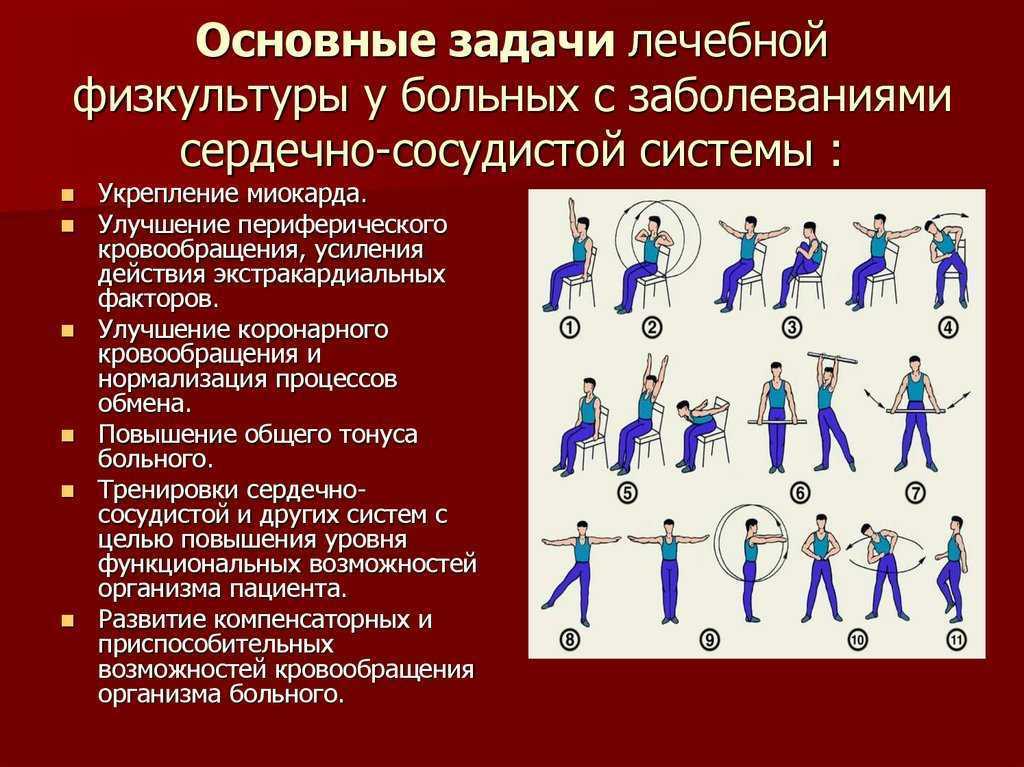 Полезные продукты питания для укрепления сердца и сосудов: список