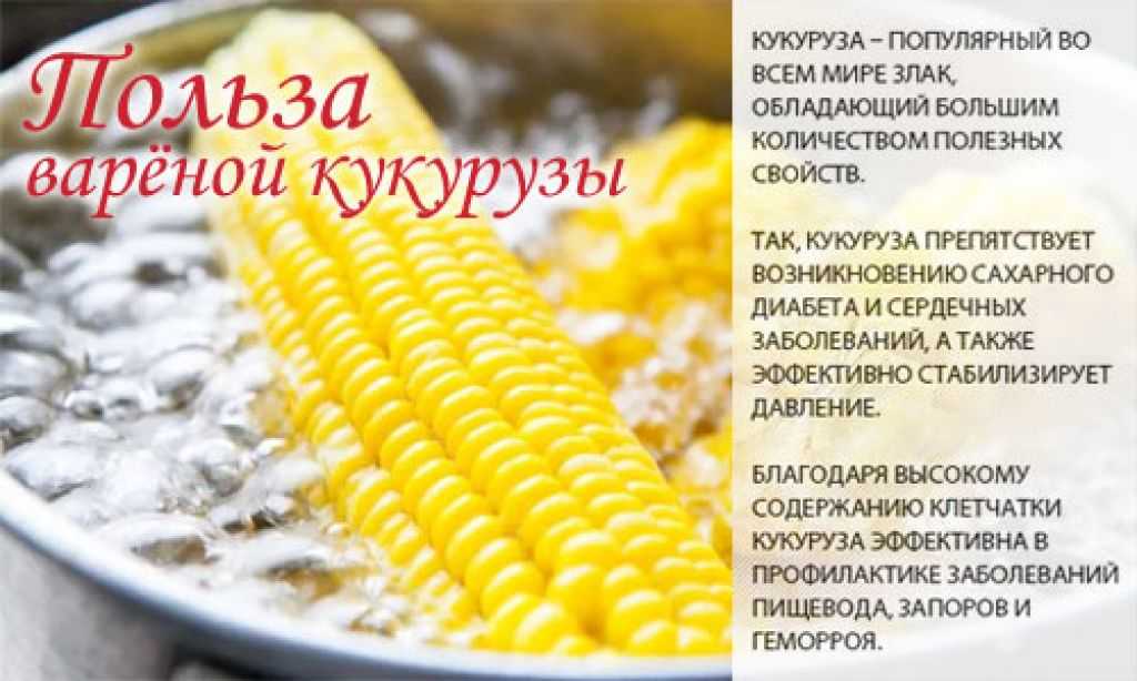 Кукуруза: калорийность, состав, польза, вред, рецепты