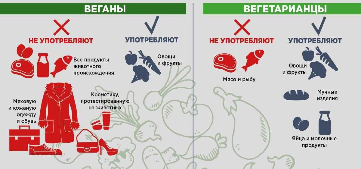 Сравнение вегетарианцев и мясоедов. вегетарианцы выносливее мясоедов.