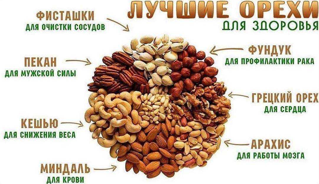 Самые полезные орехи для организма - обзор самых лучших