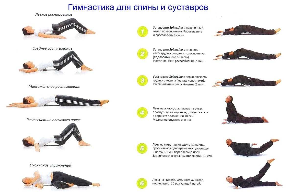 Межпозвоночная грыжа поясничного отдела: можно ли заниматься спортом? каким спортом можно заниматься при грыже позвоночника: фитнес, йога, плавание