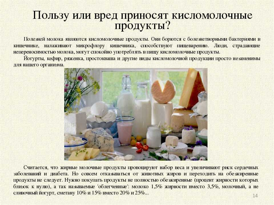 Молочные продукты: 13 фактов от диетологов и ученых - еда и фигура