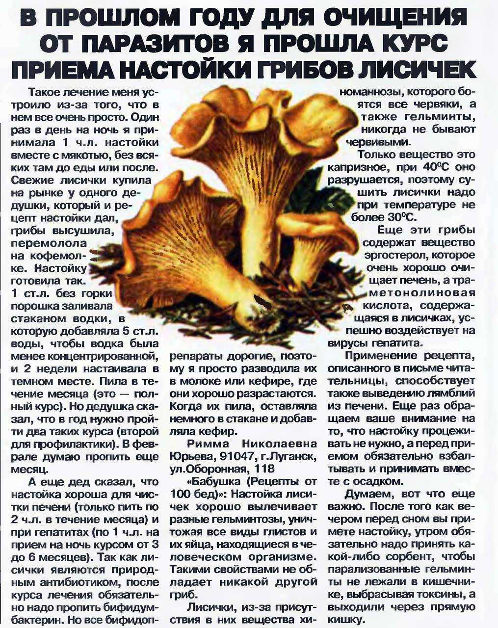 Лисички, их описание, несъедобный двойник и блюда из лисичек