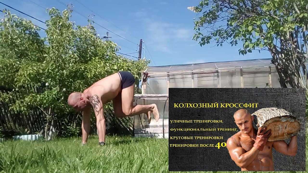 Калистеника: программа тренировок для начинающих без спортзала