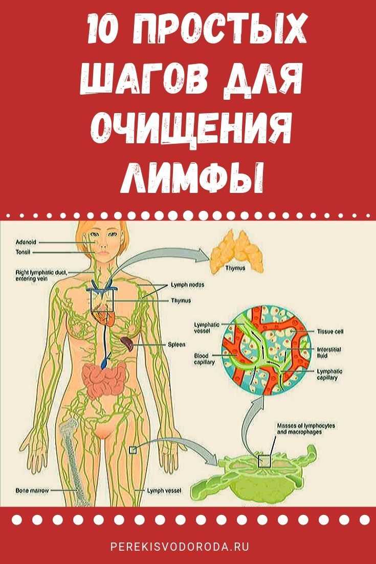 6 лучших продуктов для усиления лимфодренажа, по мнению диетолога