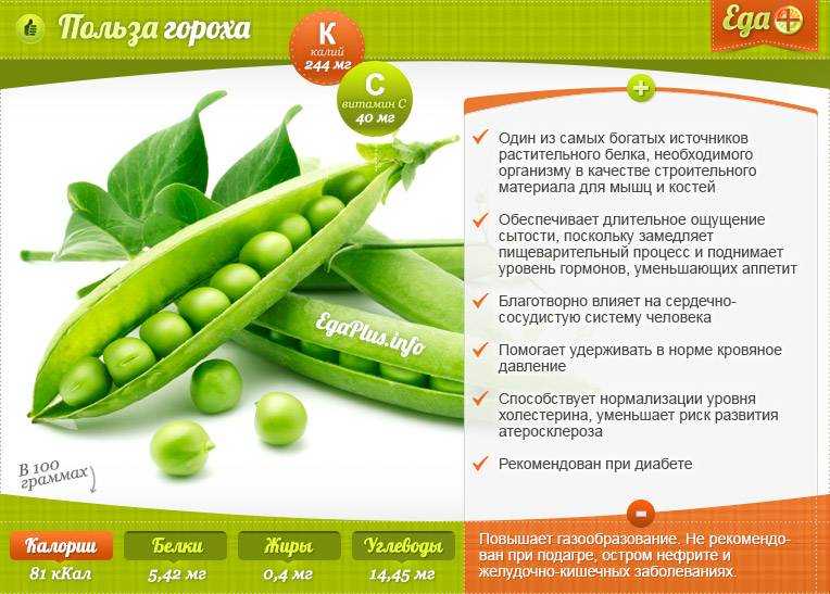 Горох: польза и вред бобовой культуры для здоровья человека