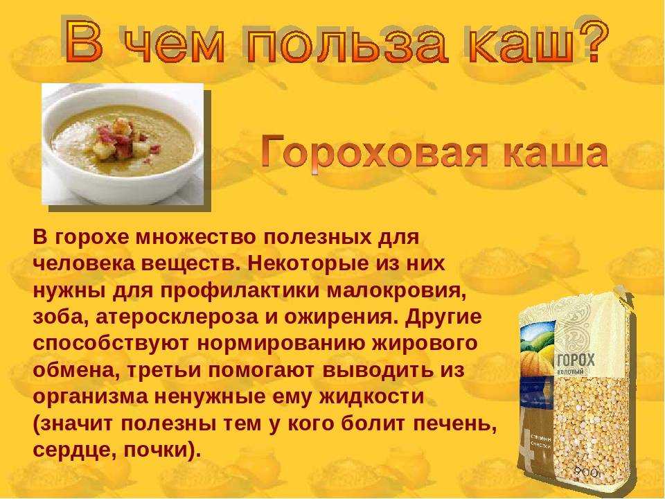 10 важных питательных веществ для поддержки здоровья пищеварительной системы | медицинский центр "здравия"