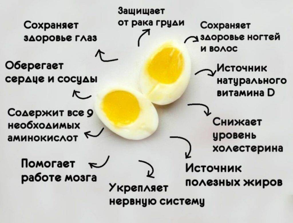 Яйца и холестерин: можно ли есть, новые исследования, сколько холестерина в куриных яйцах