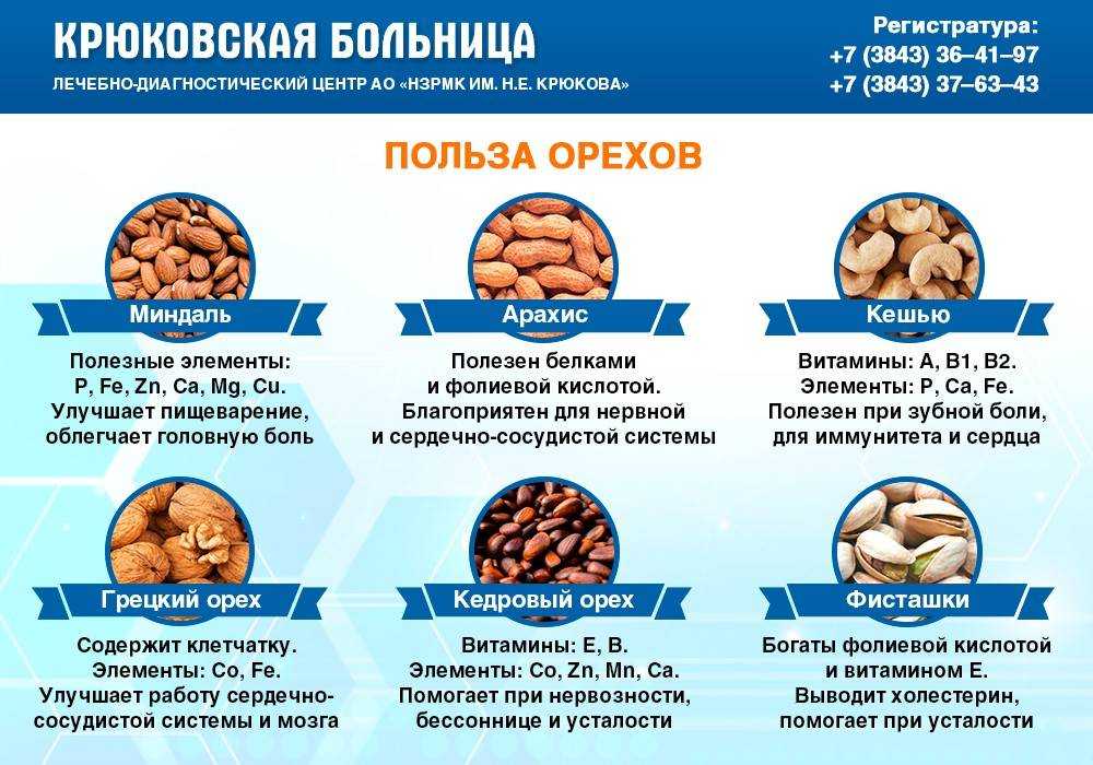 Орехи и организм человека: самые полезные в мире, польза и вред для здоровья, таблица содержания питательных веществ, свойства, ценны жиры или нет и чем именно?