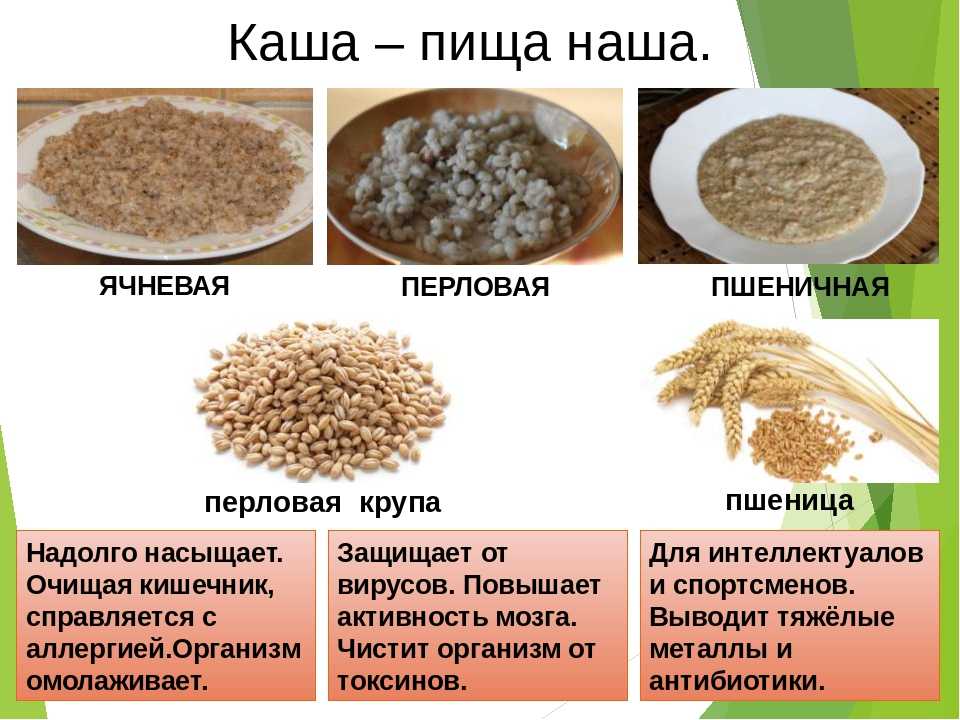 Перловая каша - польза и вред