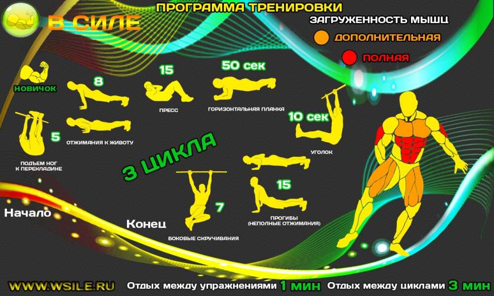 Кроссфит: программа тренировок для начинающих