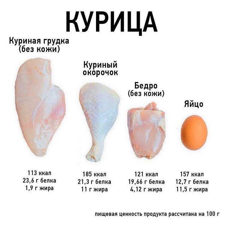 Какая самая жирная часть у курицы