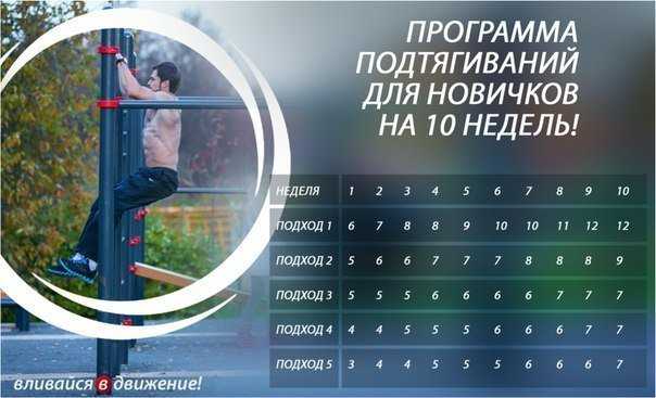 Полное руководство по подтягиваниям с нуля до 20 раз для начинающих