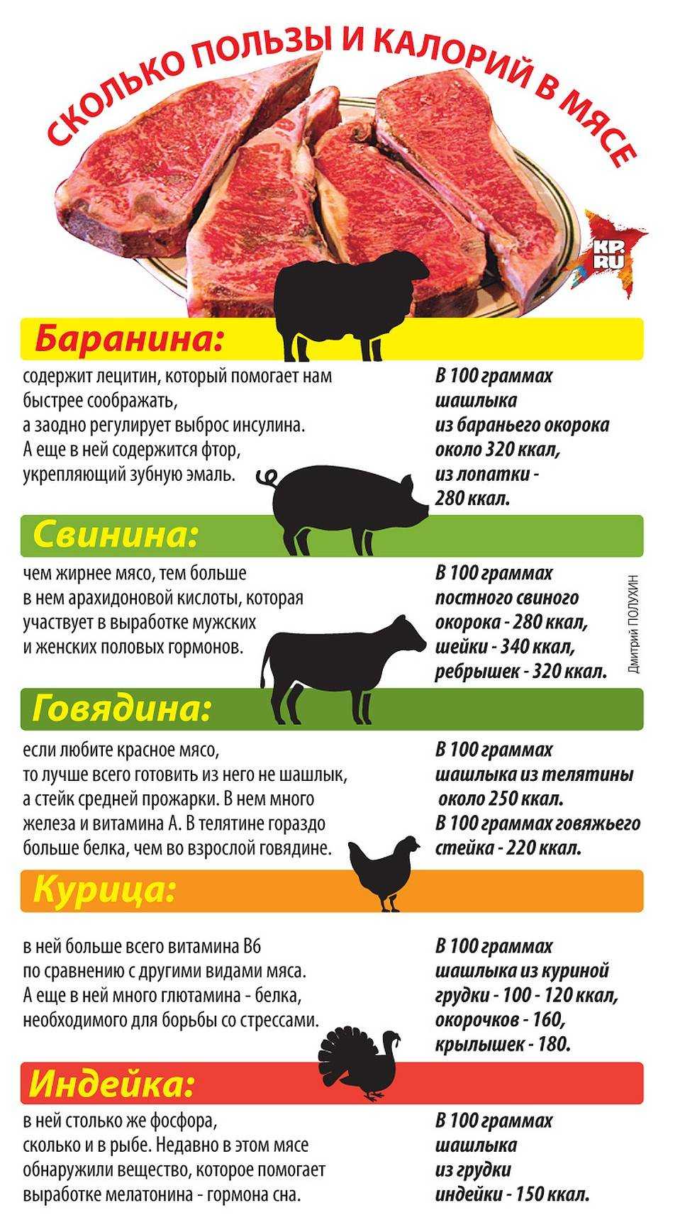 Польза и вред мяса баранины для организма, свойства, противопоказания