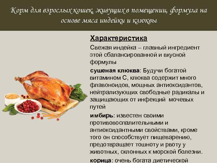 Мясо индейки - польза и вред для организма