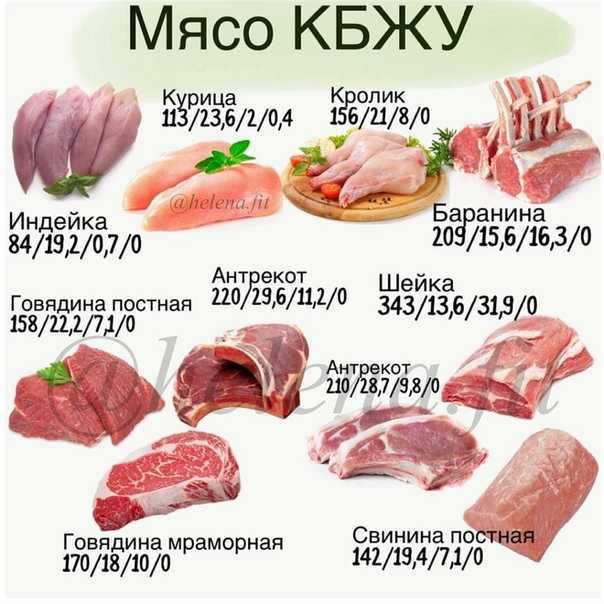 Диетические вкусные котлеты без мяса: домашние рецепты из картофеля, моркови, тыквы и грибов