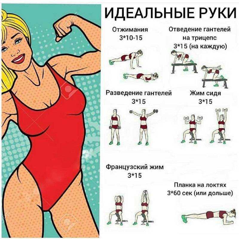 Эффективные упражнения для похудения рук и плеч в домашних условиях