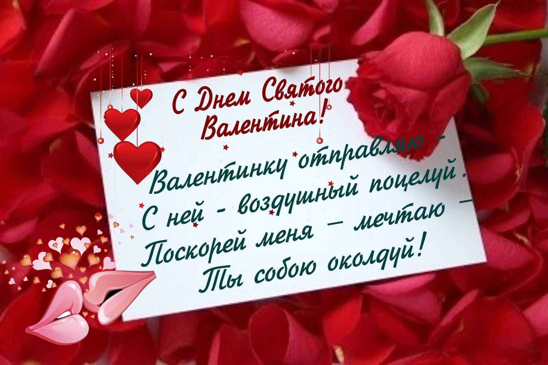 Просто немного милоты тебе в ленту Хотя нет очень очень очень много невероятной милоты тебе в ленту Посмотри какая любовь