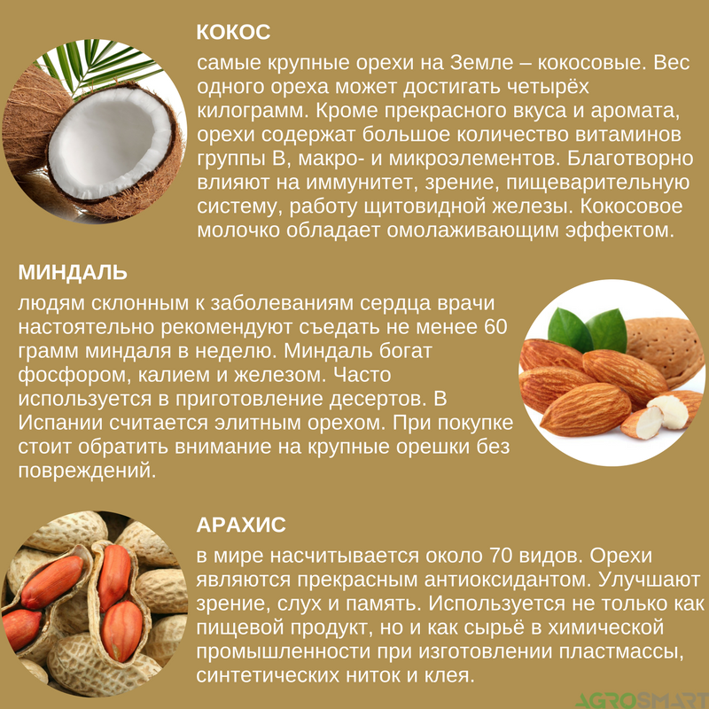 Чем полезен и чем вреден кокос для организма