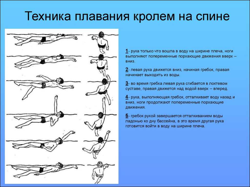 Разведение рук в тренажере бабочка: техника выполнения обратной разводки