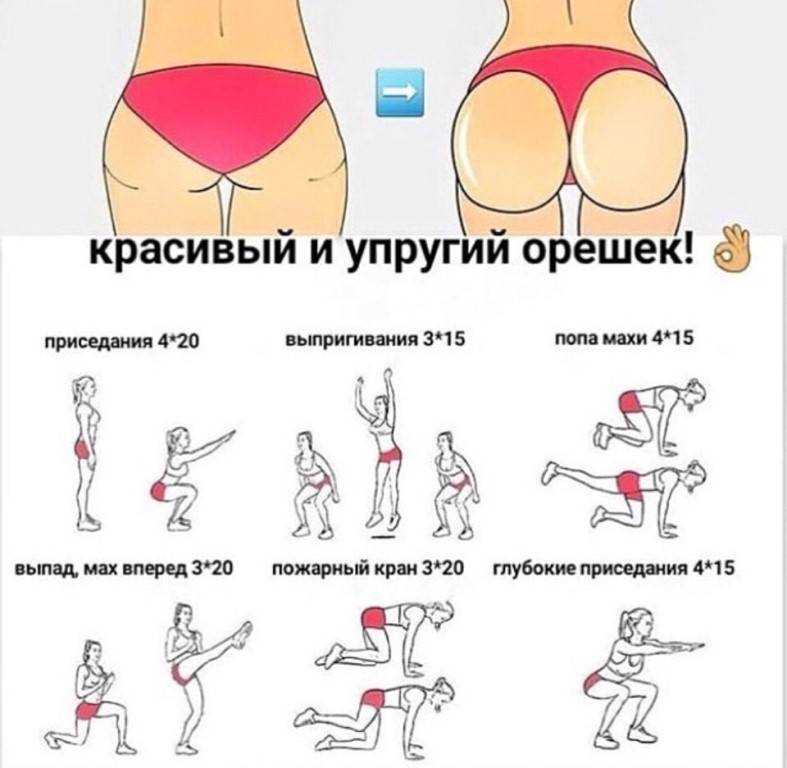 Как увеличить попу в домашних условиях девушке быстро