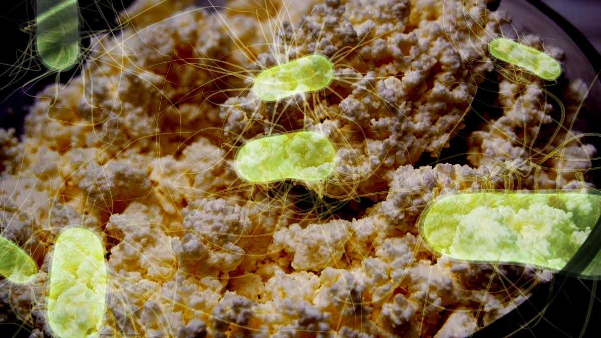 Почему не тает, или что скрывается в стаканчике мороженого?