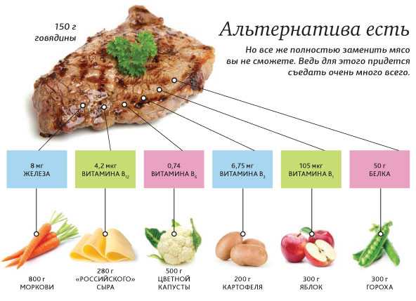 Могут ли мясоеды любить животных? - мясо, вегетарианство, животные