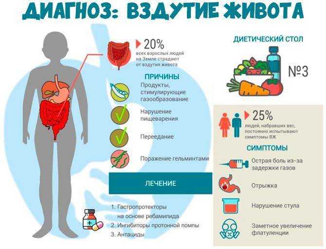 Газообразующие продукты питания: список