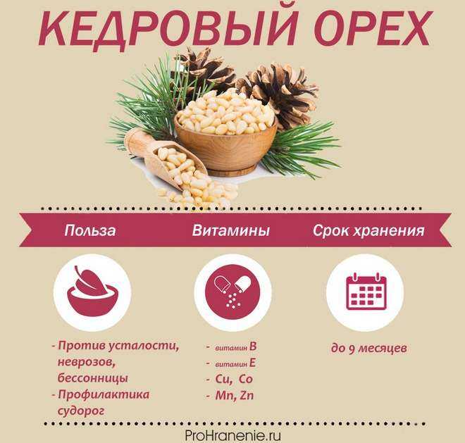 Кедровые орехи – полезные свойства и противопоказания
